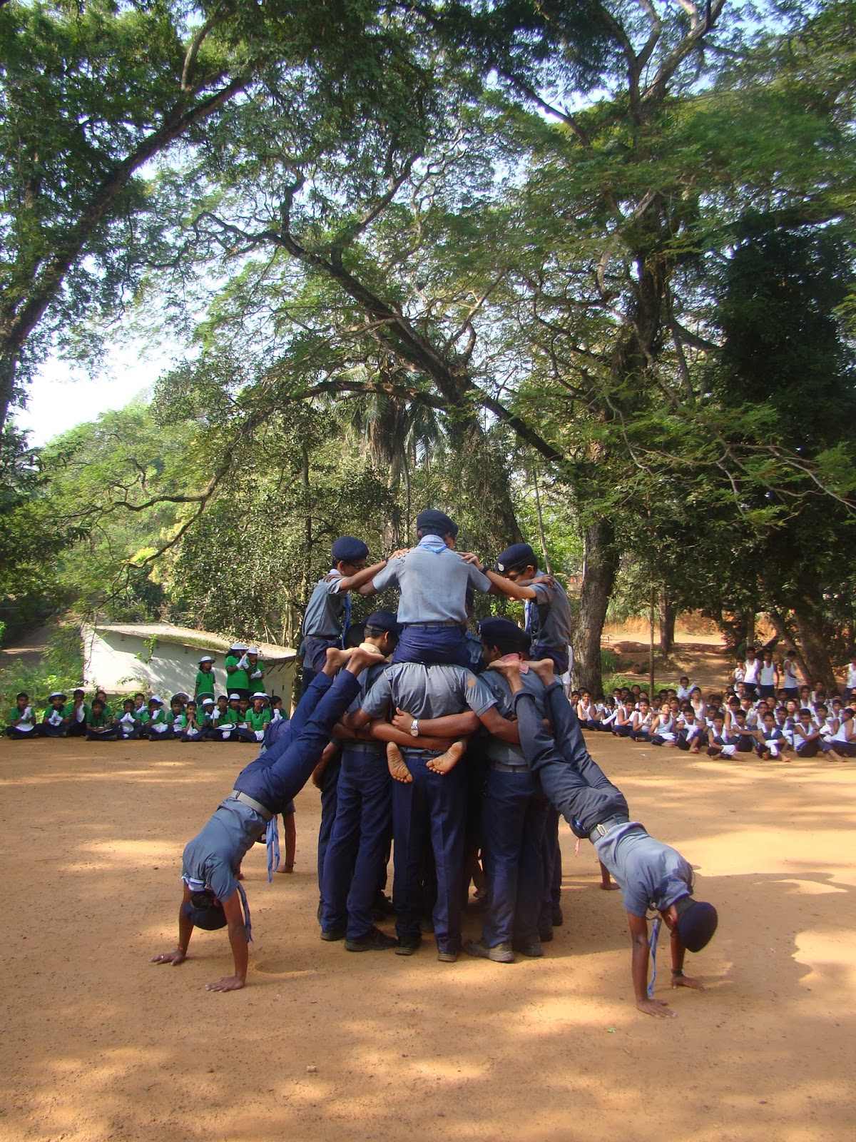 Sanskrit & Education: BS&G KV SAP 2013