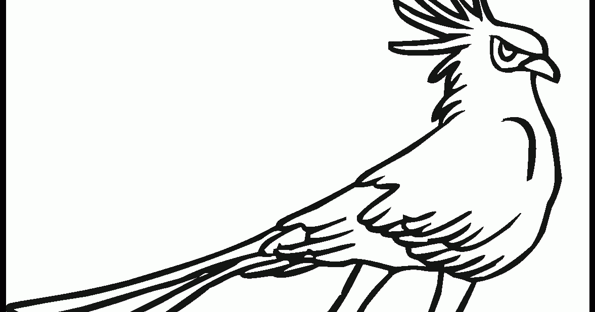 secretary birds coloring pages - jiahajava