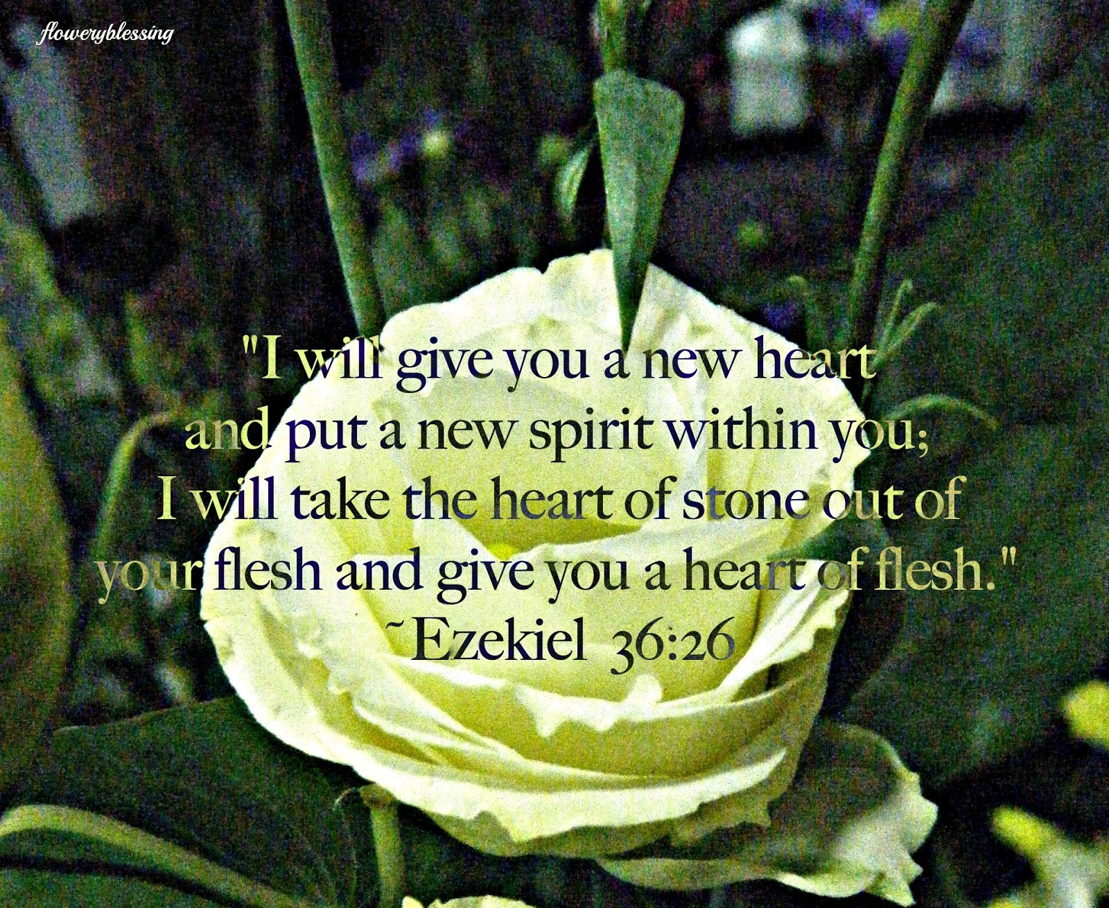 Flowery Blessing: "I will give you a new heart and put a new spirit