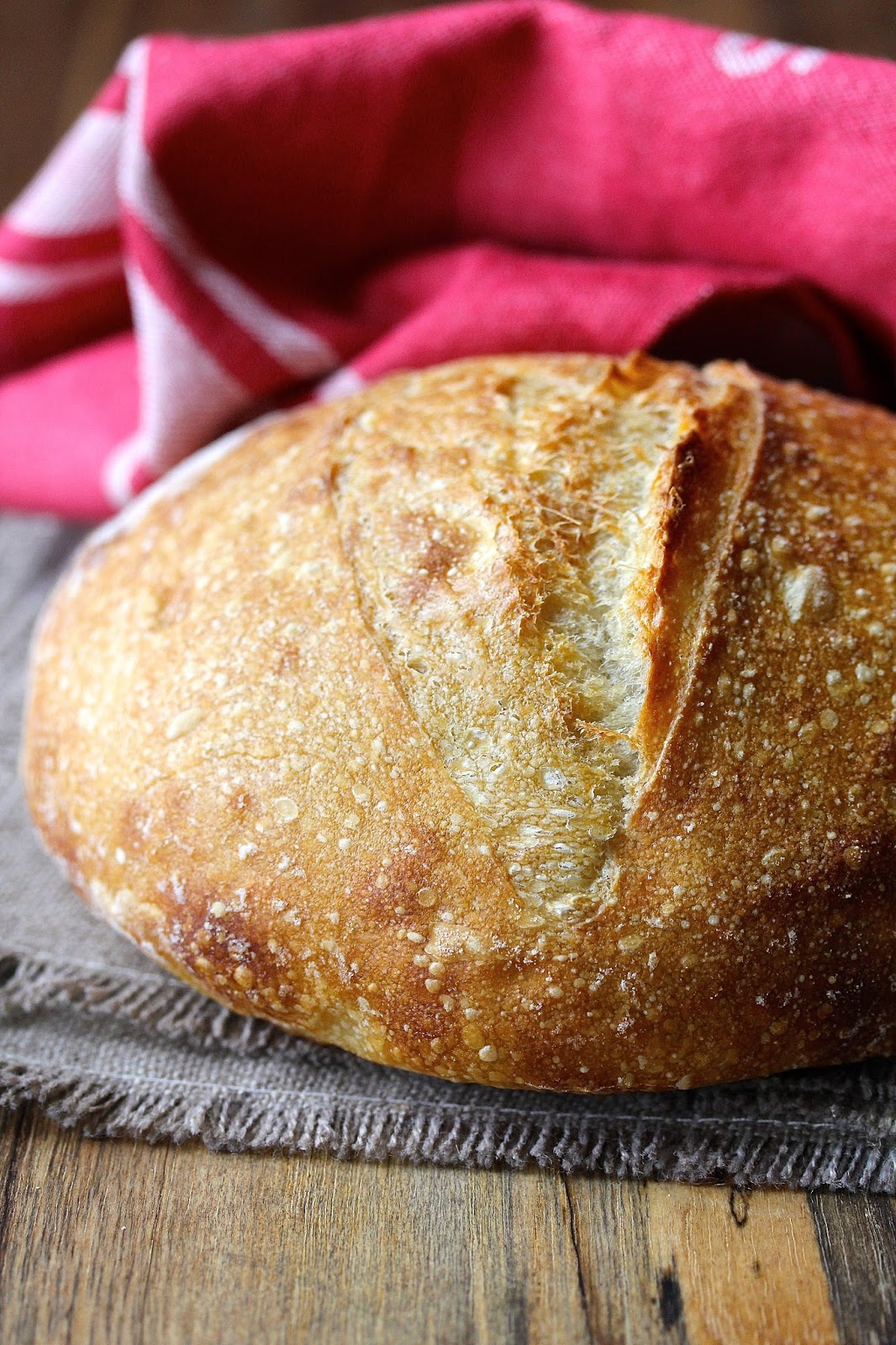 Super Easy Sourdough Bread - Dutch Oven Style - The Wild Gut