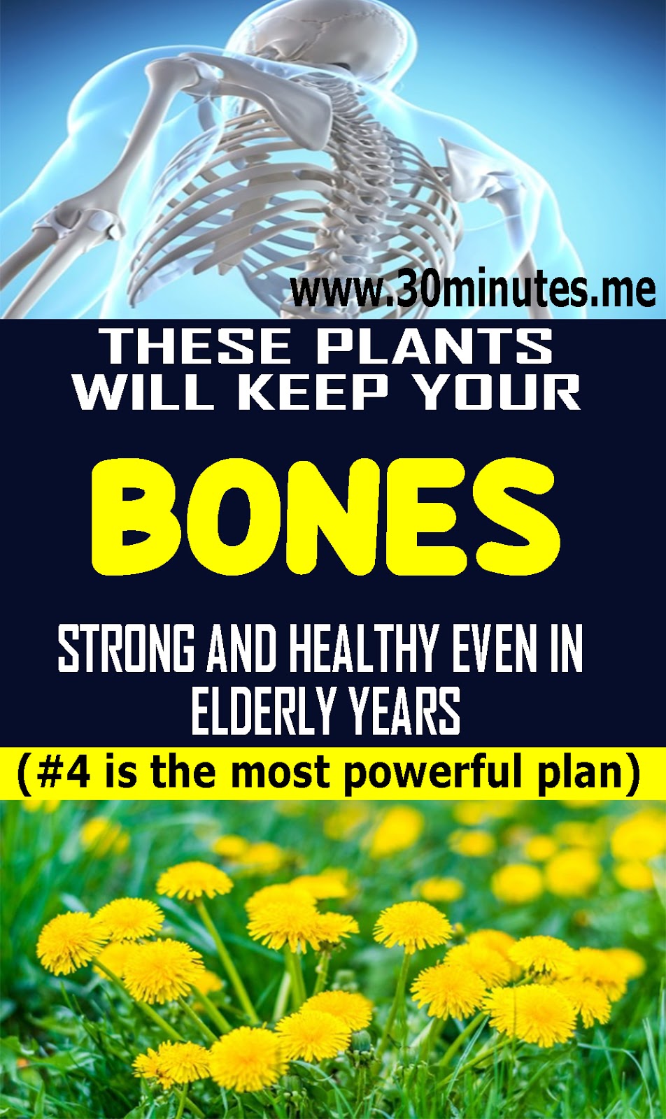 5 Plants That Can Help You Take Care Of Your Bone Health HEALTH HACKS DIY