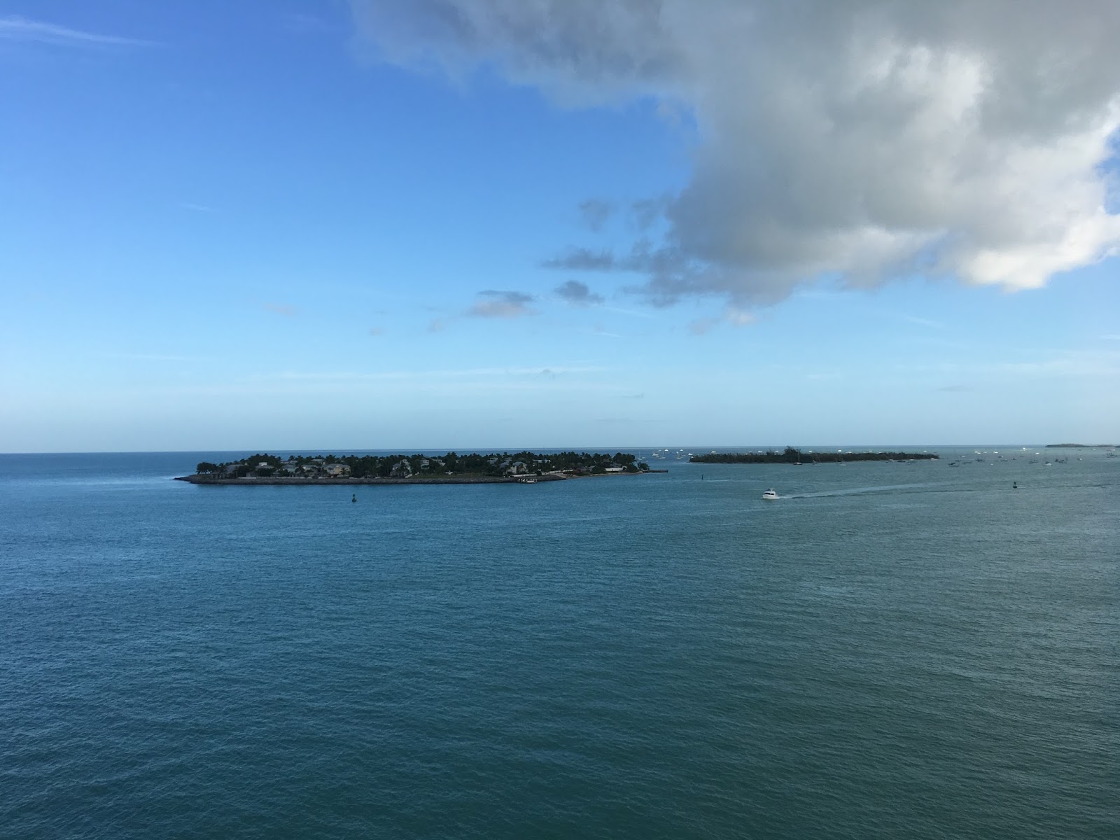 The Cheerful Cruiser! What is a Cruise Roll Call, Cabin Crawl and MeetUp?