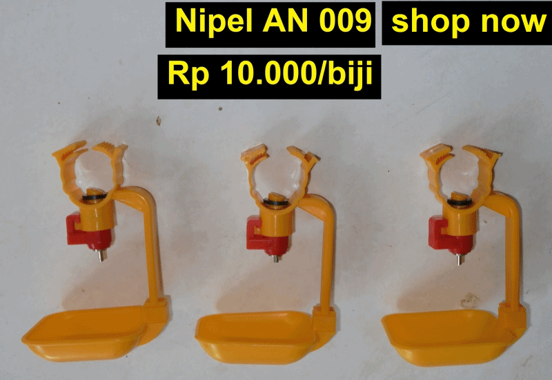 Order Nipel Puyuh