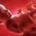 แพทย์สวีเดน-อังกฤษเตรียมทดลองฉีดเซลล์ต้นกำเนิดรักษาโรคให้ทารกในครรภ์