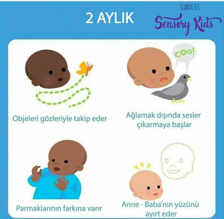 İstanbul Hanımefendisi�nin Bebek Günlüğü Halil Efe 2