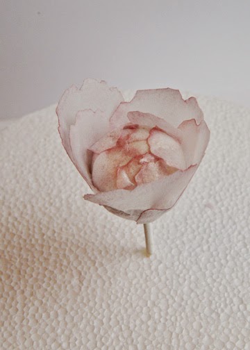 How To Make a Realistic Wafer Paper Rose