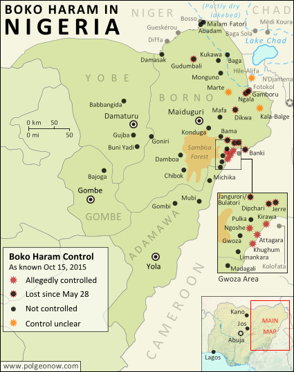 Detailed map of Boko Haram (Islamic State West Africa Province) territorial control in its war with Nigeria, marking each town reportedly under the group's control. Includes the Sambisa Forest and conflict areas along the shores of Lake Chad and the borders of Cameroon and Niger.