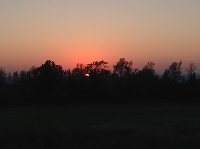 red sun behind trees