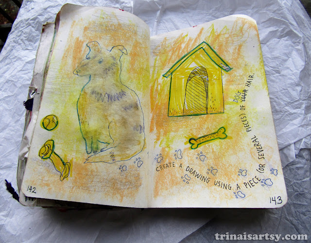 Wreck this Journal - Draw a picture using dog hair