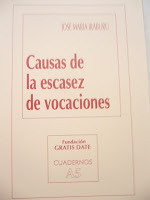 Causa escasez vocaciones