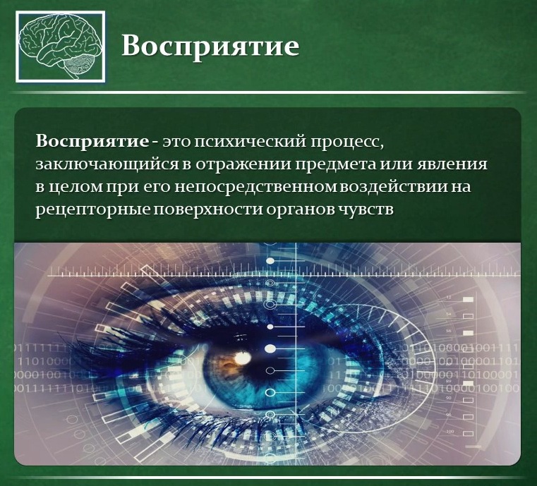 когнитивная психология изучение процессов переработки информации. когнитивное обучение. когнитивная психология восприятия. когнитивная психология эксперименты. экологическая теория джибсона.