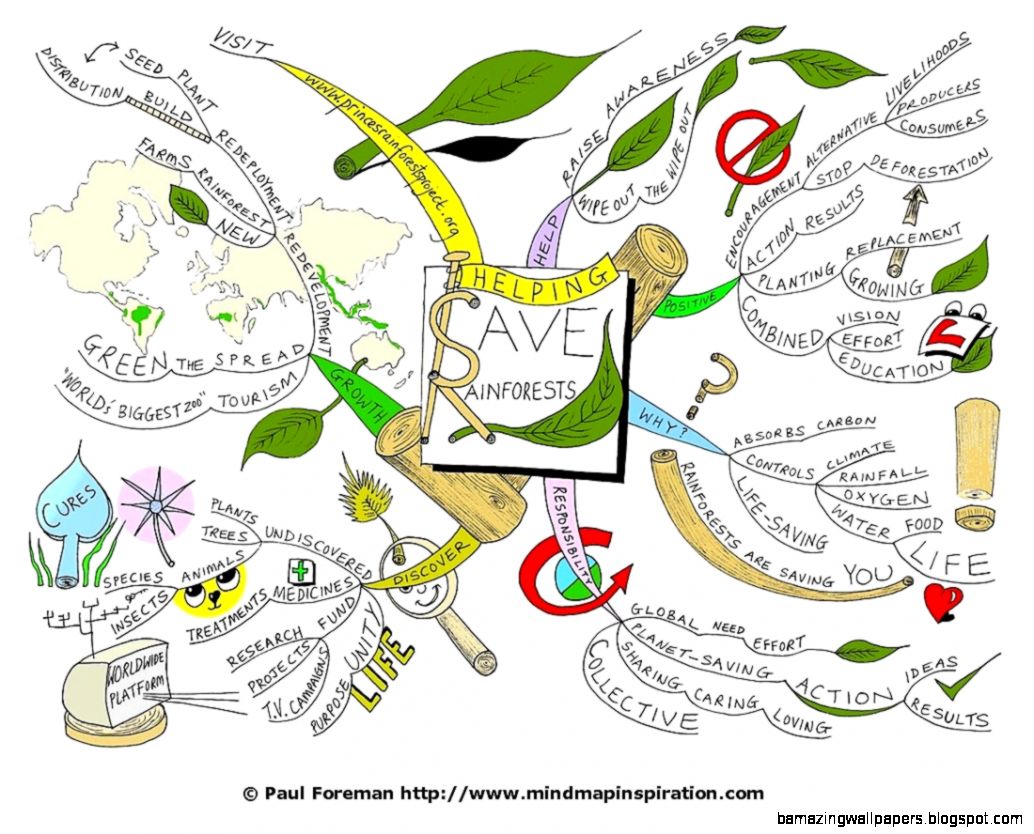 Helping Save Rainforests Mind Map  Mind Map Art