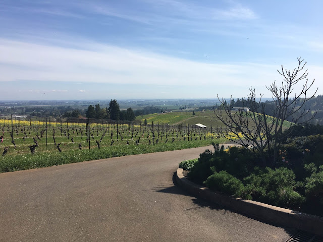 Winderlea Vineyard, Oregon | A Hoppy Medium