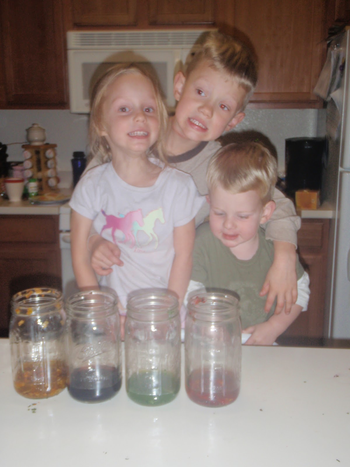 The Preschool Scientist Leaf the decorating to the Leaves Fall Colors