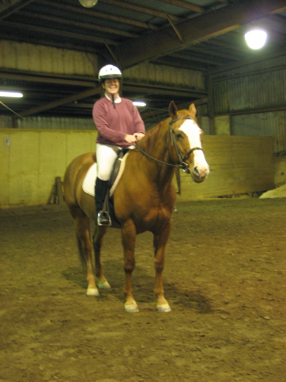 Do Horses Neigh When They Run? Why do horses paw the ground?