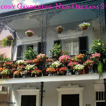 Inspirational Thursday-Balcony Gardening In New Orleans