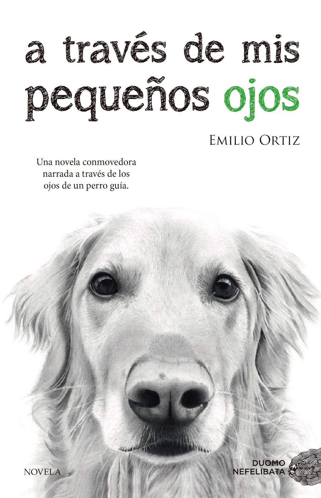 ¿Alguna vez te has detenido a pensar más allá de lo que vemos cuando nos encontramos con un perro lazarillo y a su dueño? ¿Cómo viven realmente estas ...