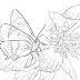 Unique Hard Butterfly Coloring Pages Image