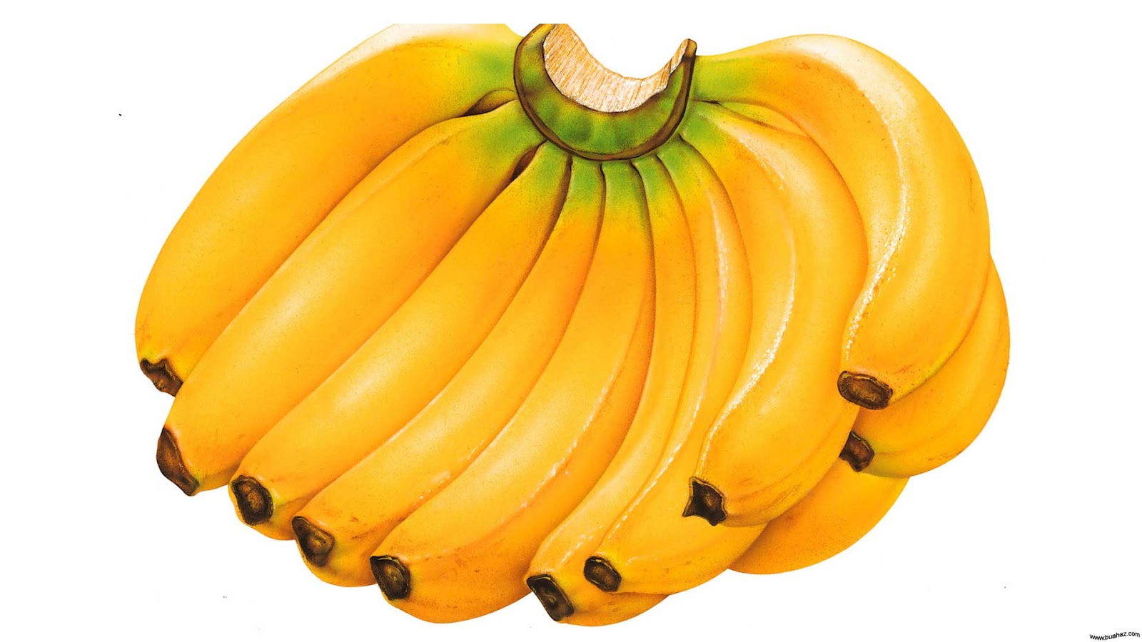 20 Wallpaper Gambar Buah Pisang