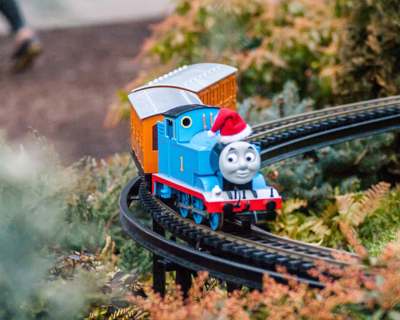 NEW SAVANNA Toy trains