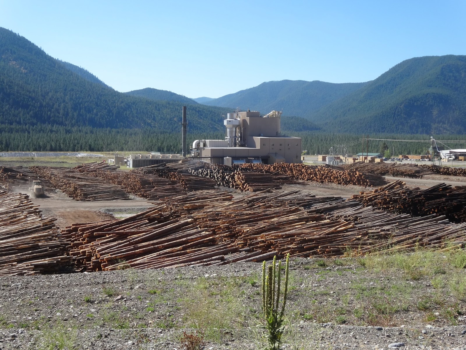 The travels of the Rambling Roses Wild Horse Plains, Montana to Clark