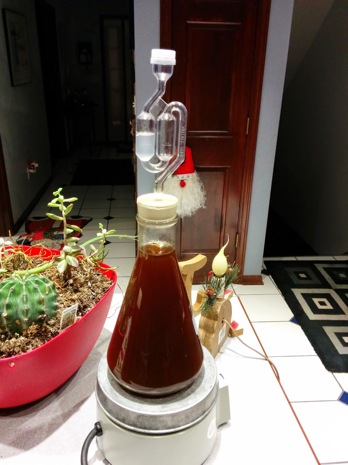 The Basics of Yeast Starters