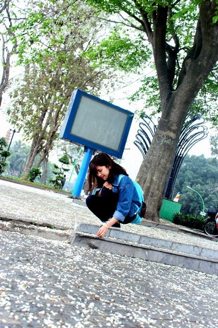 [Image: Hoa-sua-hoa-ban-no-trang-troi-Ha-Noi-5.jpg]