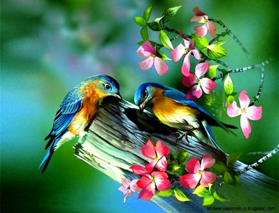 Best Free Live Wallpapers 0