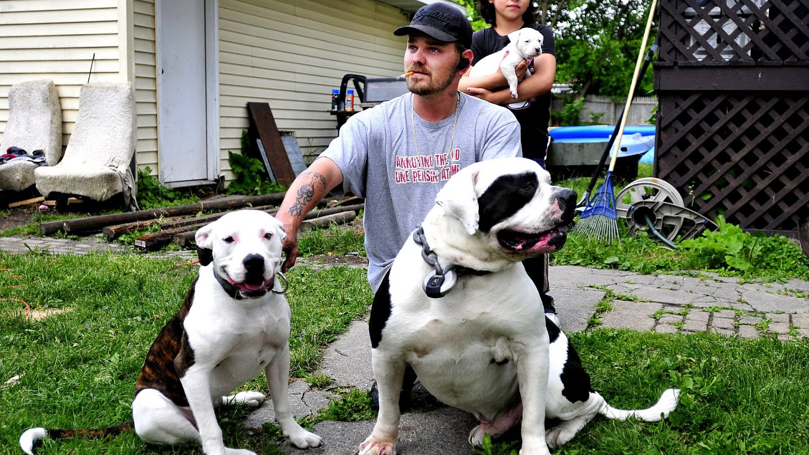 Pitbull Mix Dangerous Danger Choices