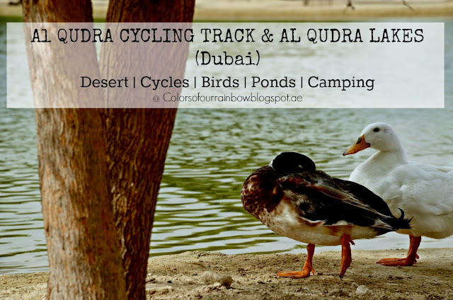 Al Qudra cycling Track, Al Qudra Lakes, Al Qudra camping @colorsofourrainbow.blogspot.ae
