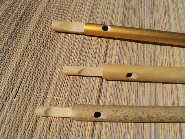 Viajando con el viento