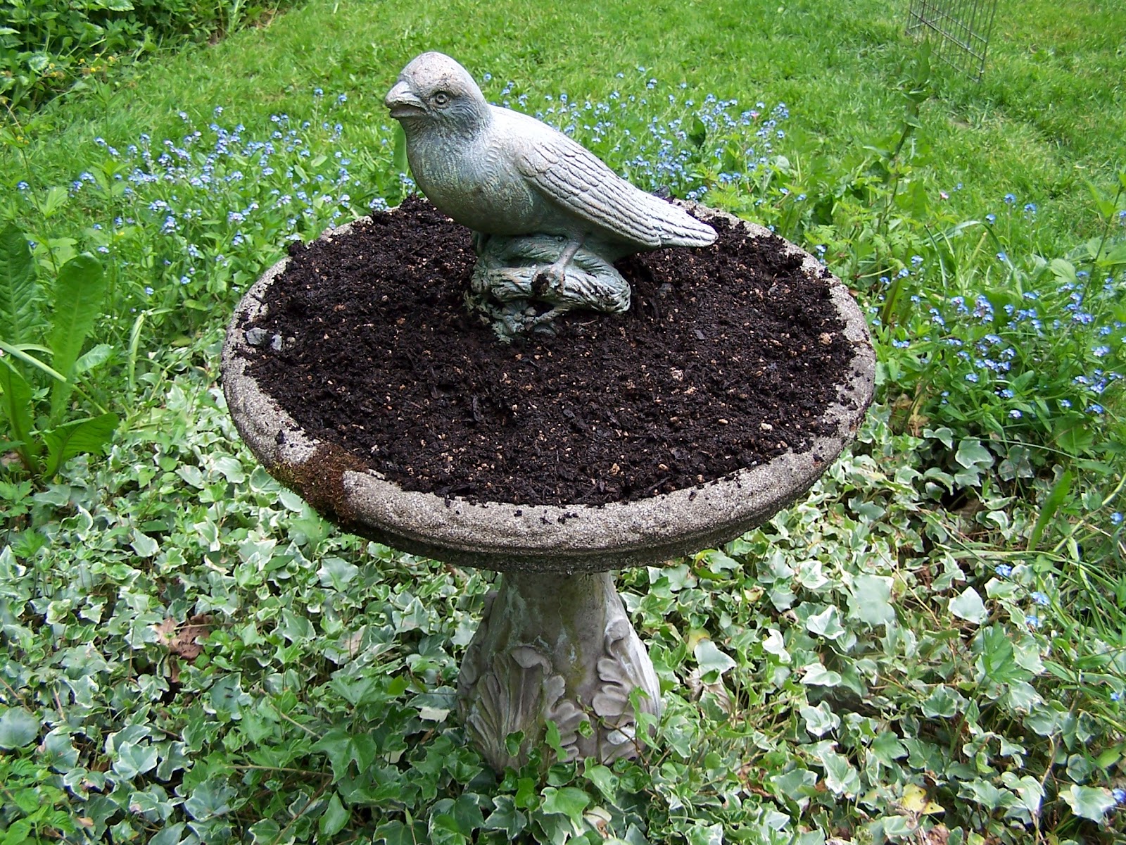 Beatrice Euphemie Bird Bath Planter