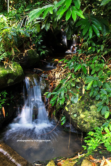 Air terjun mini di Kampung Gobang-Singkup Kota Tasikmalaya Air terjun mini di Kampung Gobang-Singkup Kota Tasikmalaya