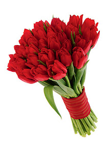 Bouquets Rojos, parte 1