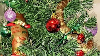 Gadis Ini Histeris Setelah Melihat Pohon Natal. Setelah Diteliti, Ternyata... Gadis Ini Histeris Setelah Melihat Pohon Natal. Setelah Diteliti, Ternyata...