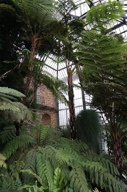 Jardin des Plantes - Serre de l'Histoire des plantes