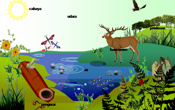 Pengertian Ekosistem dan Keanekaragaman Hayati Ekosistem 
