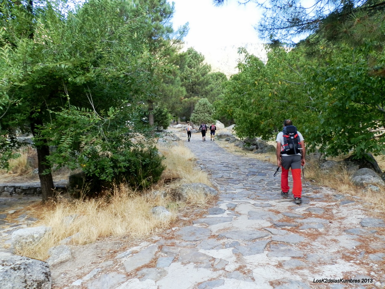 Plataforma Nogal del Barranco