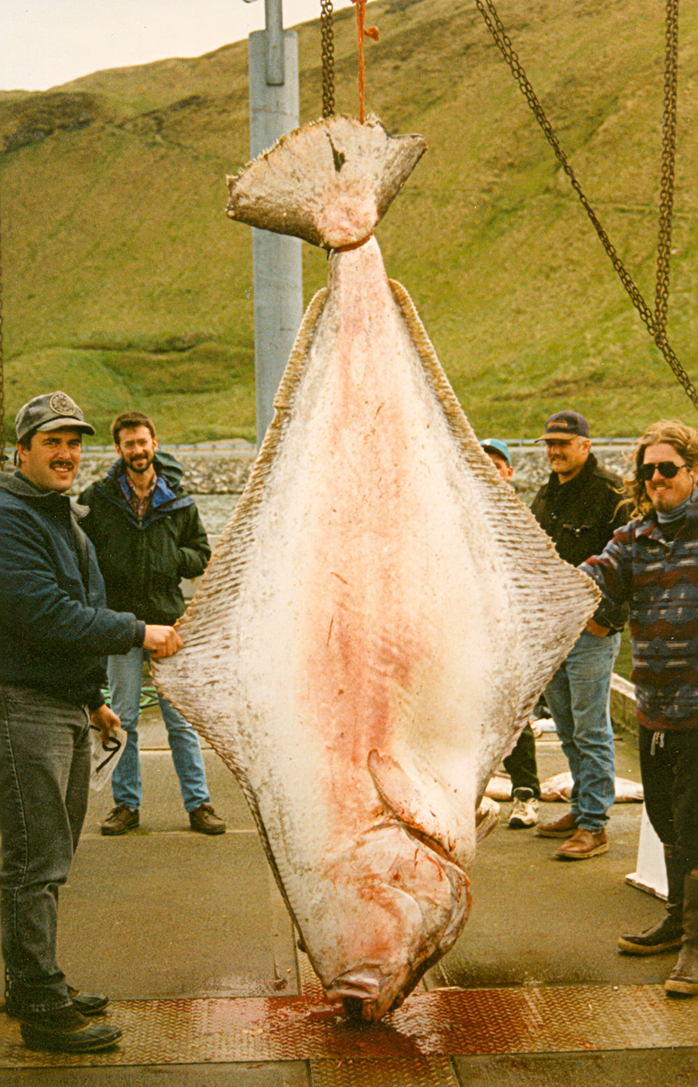 International Fishing News Video Worlds Biggest Record Fish Ever