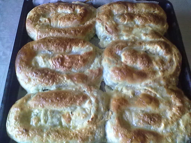 BUREK SA ZELJEM