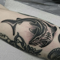 designs Tattoo shark 4