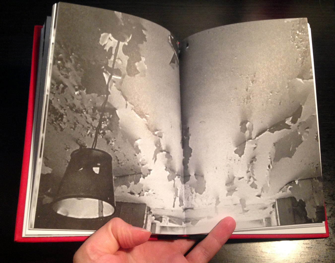 Something Between Want and Desire Sophie Calle's "Address Book"