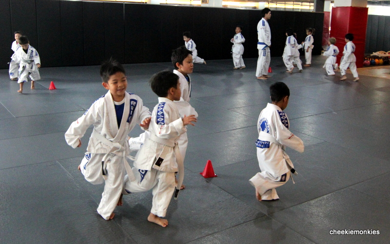 Cheekiemonkies Singapore Parenting & Lifestyle Blog Mixed Martial