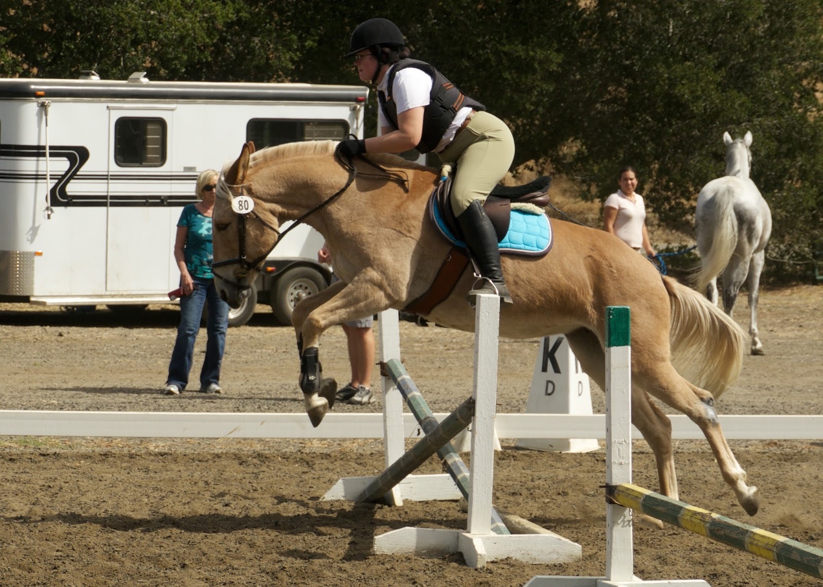 Do It Yourself Horse Ownership RDLA Horse Trials Show Jumping