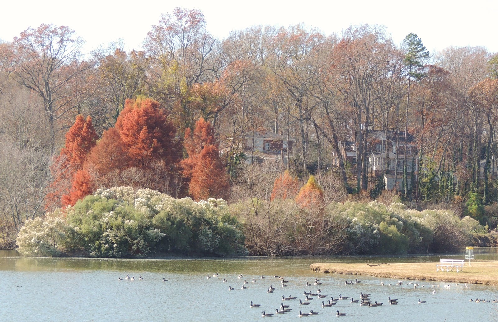 1000 Hikes in 1000 Days Day 745 Winthrop University Rock Hill, South Carolina Cross