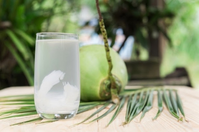 Manfaat Minum Air Kelapa, BisaTurunkan Kolesterol Hingga Sembuhkan Migrain Manfaat Minum Air Kelapa, BisaTurunkan Kolesterol Hingga Sembuhkan Migrain