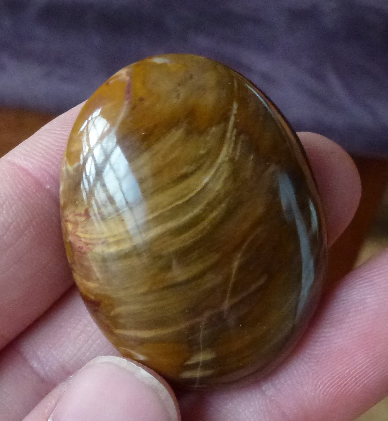 Jaka Gems Petrified Wood