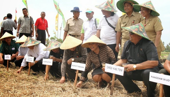 Bupati Tabanan Tanam Kedelai Canangkan GP PTT