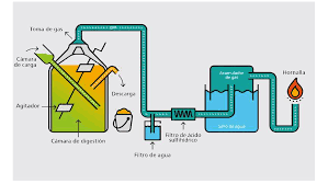 Generación De Biogas