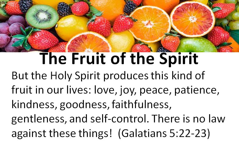 pastor-chris-blog-the-fruit-of-the-spirit-love
